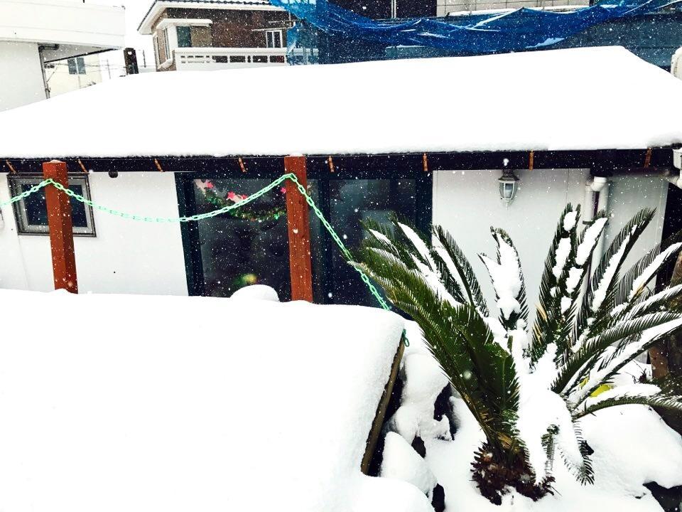 Villa Little Haenyeo Jeju Exterior foto